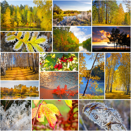 Autumn in nature, Siberia, Novosibirsk oblast, Russia. A collage of photosの写真素材