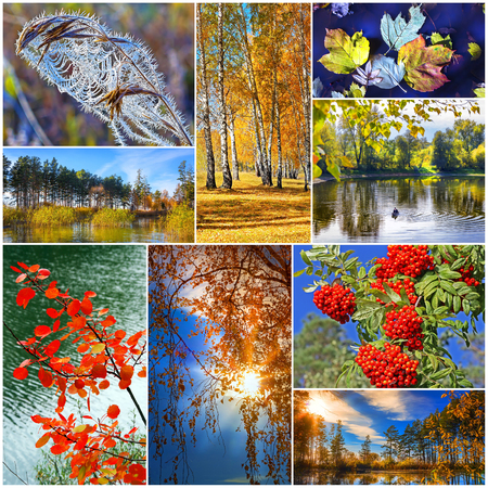 Autumn in nature, Siberia, Novosibirsk oblast, Russia. A collage of photosの写真素材