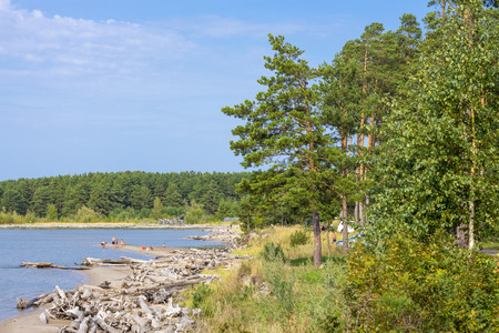 The river Ob ( the Ob reservoir ), Berdsk, Novosibirsk oblast, Siberia, Russia - September 1, 2015: holidaymakers swimming in the river on a wild beachのeditorial素材