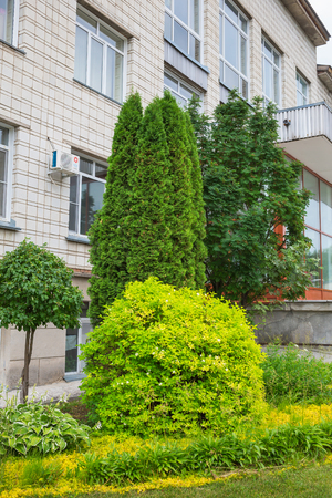 The territory of the Central Siberian Botanical garden, Novosibirsk, Siberia, Russia - June 25, 2017: the administrative building and the grounds landscapedのeditorial素材