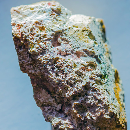 The fossil of an ancient sea found in the floodplain of Sponichi. Iskitim district, Novosibirsk region, Western Siberia, Russiaの写真素材