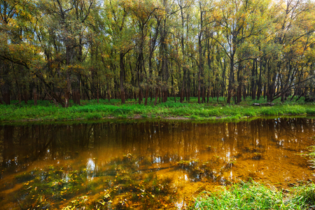 Autumn landscape, shallow river channel. Ob, Suzun district, Novosibirsk region, Western Siberia, Russiaの写真素材