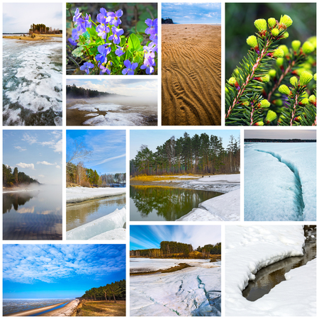 Collage four seasons - spring. The Nature Of Western Siberiaの写真素材