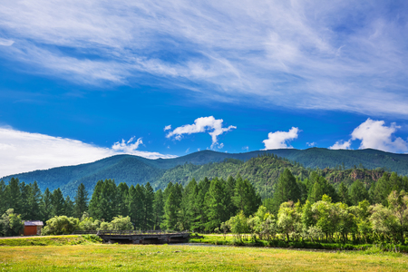 River of Tuekta, Ongudai district, Altai Republic, Russia - July 13, 2019: a bridge across the river near the village of Tuekta on the background of pine forests and mountainsのeditorial素材