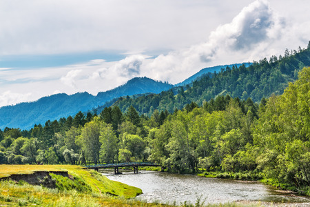 River of Tuekta, Ongudai district, Altai Republic, Russia - July 13, 2019: a bridge across the river near the village of Tuekta on the background of pine forests and mountainsのeditorial素材