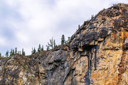 The slopes of the Altai mountains covered with bushes and coniferous forest. Altai Republic, South...