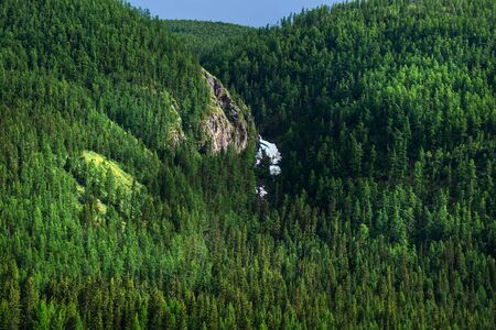 The slopes of the Altai mountains covered with dark coniferous taiga. Altai Republic, South Siberia, Russiaの写真素材