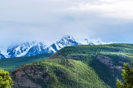 View of the dark coniferous taiga of the Altai mountains and the North-Chui snow-covered mountain...