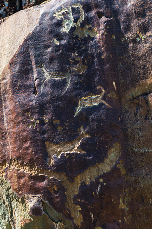 Petroglyph complex "kalbak - Tash" (ritual sanctuary), Ongudai district, Altai Republic, Russia - July 15, 2019: rock paintings depicting animalsのeditorial素材