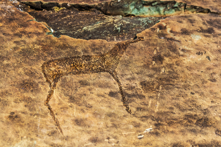 Petroglyph complex "kalbak - Tash" (ritual sanctuary), Ongudai district, Altai Republic, Russia - July 15, 2019: rock paintings depicting animalsのeditorial素材