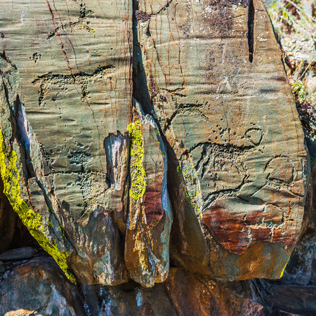 Petroglyph complex "kalbak - Tash" (ritual sanctuary), Ongudai district, Altai Republic, Russia - July 15, 2019: rock paintings depicting animalsのeditorial素材