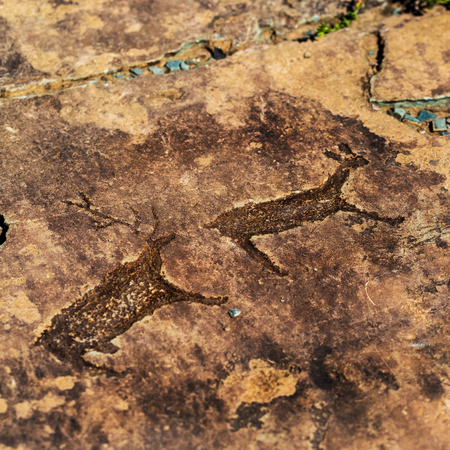 Petroglyph complex "kalbak - Tash" (ritual sanctuary), Ongudai district, Altai Republic, Russia - July 15, 2019: rock paintings depicting animalsのeditorial素材
