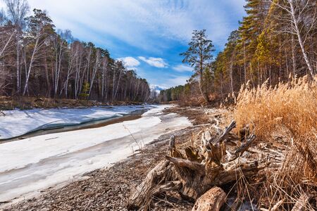 Spring melting of ice on the river. Razdelnaya river, Berdsk, Novosibirsk oblast, Western Siberia, Russiaの写真素材