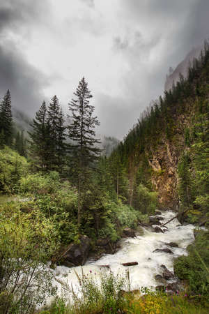 Mountain river Chibitka surrounded by coniferous forest and mountains. Russia, southern Siberia,...