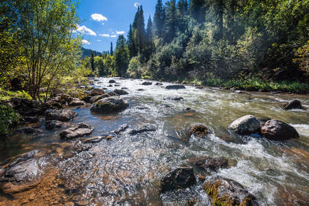 Iogach river with stone rifts surrounded by the Siberian taiga. Turochaksky district, South of...