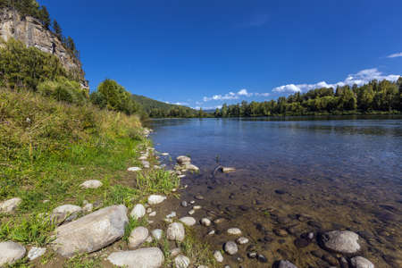 The Biya river is surrounded by the Siberian taiga. Turochaksky district, Altai Republic, South of Western Siberia, Russiaの写真素材