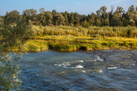Summer landscape with a river. Berd River, Iskitimsky District, Novosibirsk Oblast, Western Siberia,...