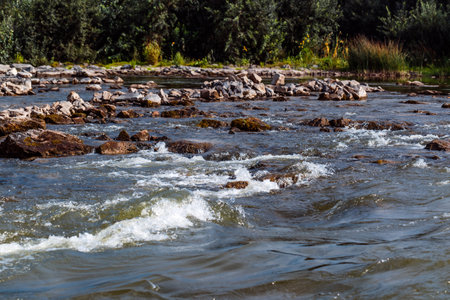 Summer landscape with a river. Berd River, Iskitimsky District, Novosibirsk Oblast, Western Siberia,...