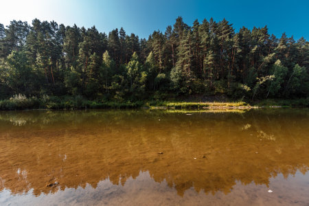 Summer landscape with a river. Berd River, Iskitimsky District, Novosibirsk Oblast, Western Siberia, Russiaの写真素材
