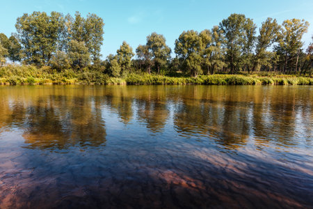 Summer landscape with a river. Berd River, Iskitimsky District, Novosibirsk Oblast, Western Siberia,...