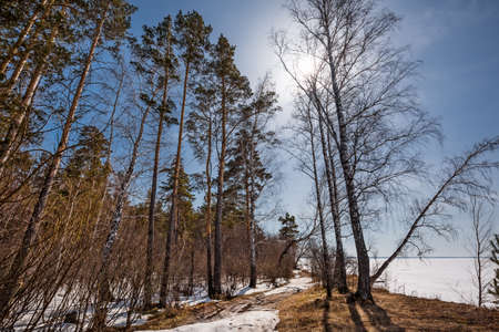 The coast of the Ob Sea in the spring. Berdsk, Novosibirsk region, Western Siberia - April 11, 2021の写真素材