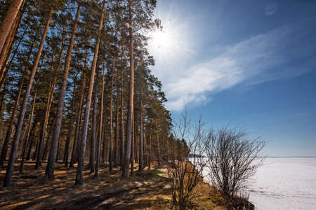 The coast of the Ob Sea in the spring. Berdsk, Novosibirsk region, Western Siberia - April 11, 2021の写真素材