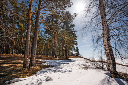 The coast of the Ob Sea in the spring. Berdsk, Novosibirsk region, Western Siberia - April 11, 2021の写真素材