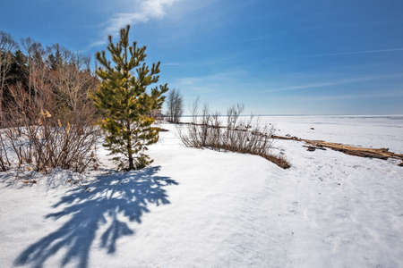 The coast of the Ob Sea in the spring. Berdsk, Novosibirsk region, Western Siberia - April 11, 2021の写真素材