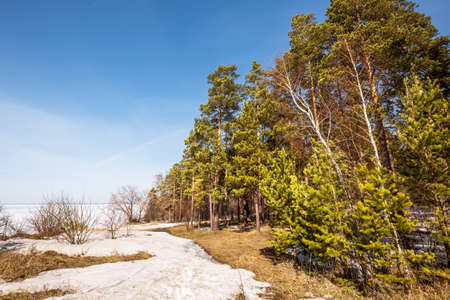 The coast of the Ob Sea in the spring. Berdsk, Novosibirsk region, Western Siberia - April 11, 2021の写真素材