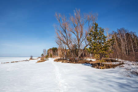 The coast of the Ob Sea in the spring. Berdsk, Novosibirsk region, Western Siberia - April 11, 2021の写真素材