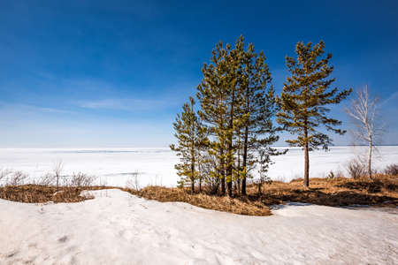 The coast of the Ob Sea in the spring. Berdsk, Novosibirsk region, Western Siberia - April 11, 2021の写真素材