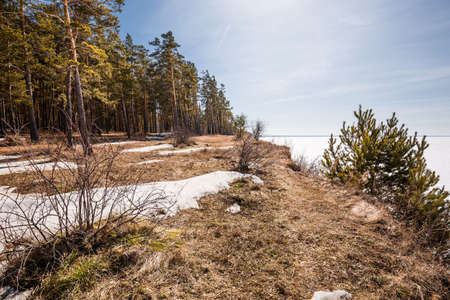 The coast of the Ob Sea in the spring. Berdsk, Novosibirsk region, Western Siberia - April 11, 2021の写真素材