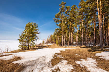The coast of the Ob Sea in the spring. Berdsk, Novosibirsk region, Western Siberia - April 11, 2021の写真素材