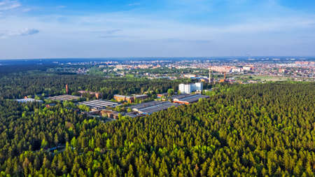 Bird's-eye view of the pine forest surrounding the city. Berdsk, Novosibirsk Region, Western Siberia, Russiaの写真素材
