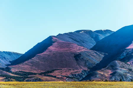 Altai Mountains near the village of Chagan-Uzun. Kosh-Agachsky District of the Altai Republic, Southern Siberia, Russiaの写真素材