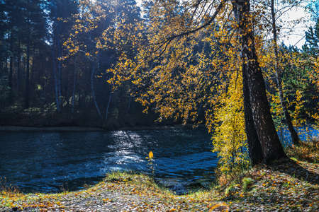Autumn landscape. Novosibirsk region, Western Siberia