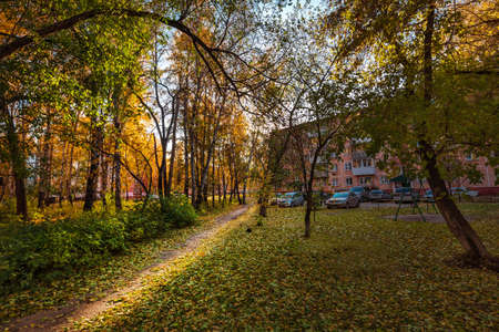 The city of Berdsk, Novosibirsk region, Western Siberia of Russia - October 9, 2021: autumn cityscape with trees and fallen yellow leavesのeditorial素材
