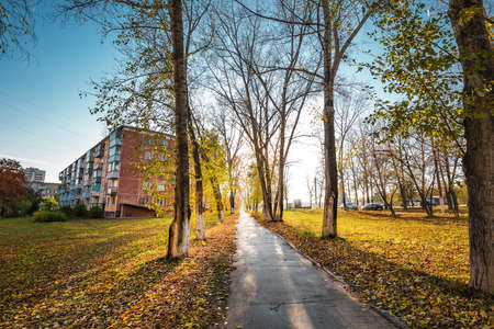 The city of Berdsk, Novosibirsk region, Western Siberia of Russia - October 9, 2021: autumn...