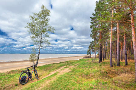 Berdsk, Novosibirsk region. Western Siberia of Russia - May 2, 2020: mountain bike on the coast of the shallow Ob Seaのeditorial素材