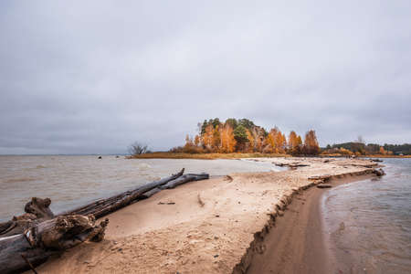 The coast of the Novosibirsk Ob reservoir in autumn. Berdsk, Novosibirsk region, Western Siberia of Russiaの写真素材