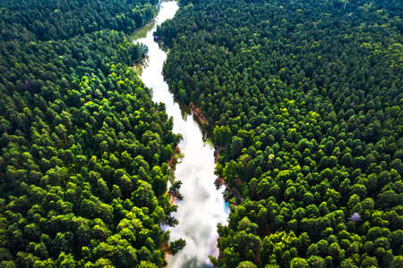View of the Razdelnaya River surrounded by birches and pines. from a bird's-eye view