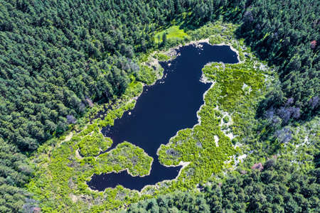 BERDSK, Novosibirsk Region, Western Siberia of Russia - July 8, 2021: Bird's-eye view of the Novosibirsk Ob reservoirの写真素材