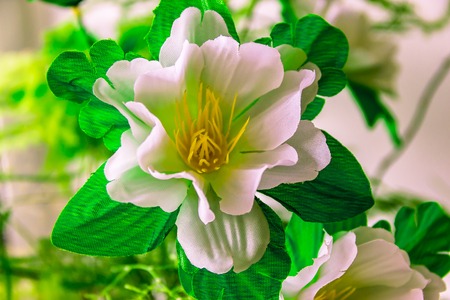 big beautiful artificial white flower.の写真素材