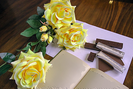 pictured in the photo pieses of chocolate and open bookの写真素材