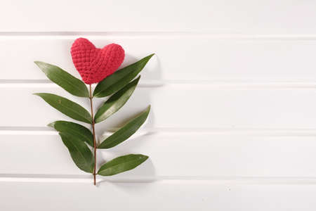 Branch of hearth, decorate from branch of tree and handmade heartの写真素材