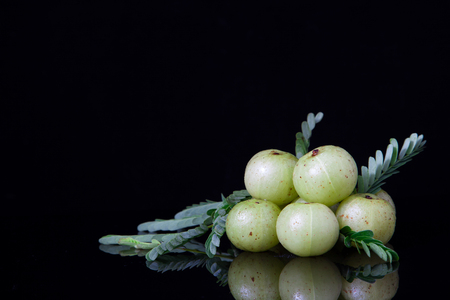 Indian gooseberry or amla fruit with leaf isolated on black backgroundの写真素材