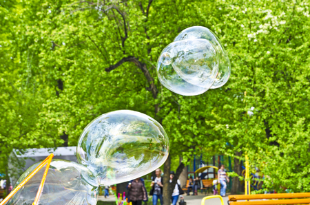 Flight of the soap bubbles in the park. They are up in the air.のeditorial素材