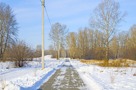Pedestrian road through the winter snow-covered park.の写真素材