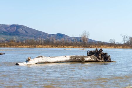 A large old log flooded in the middle of a riverの写真素材
