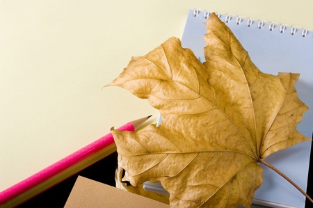 The writing subjects necessary for a spelling of notes. Very popular among writing people.の写真素材